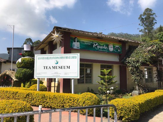 Tea Museum